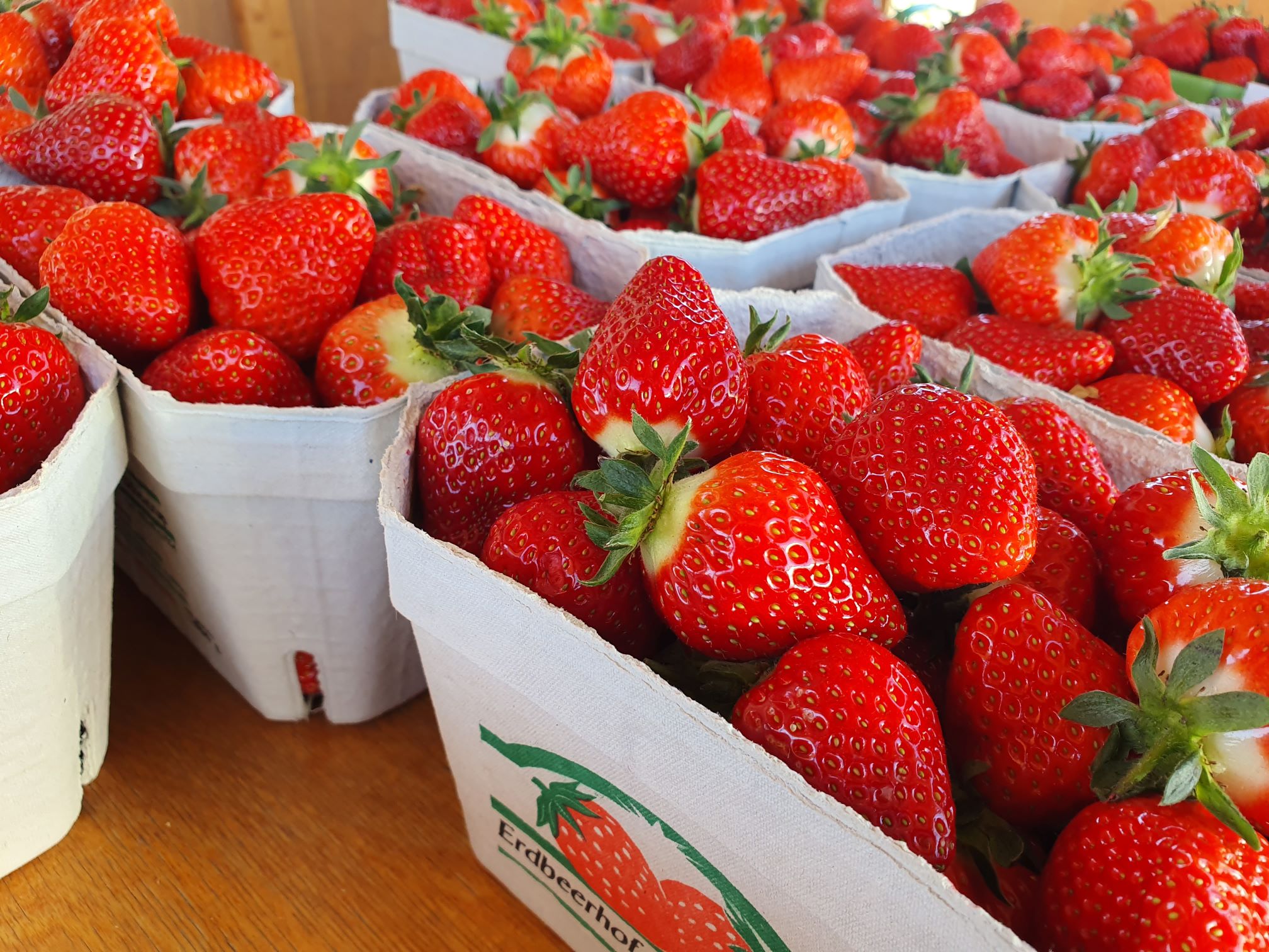 Endlich wieder leckere, frische Erdbeeren!