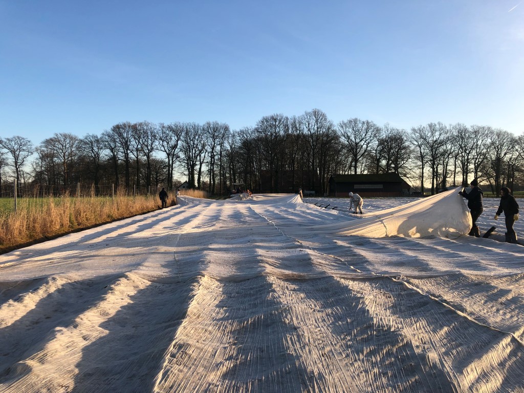 Warm einpacken für den Winter